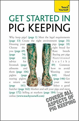 Get started pig - in, keeping