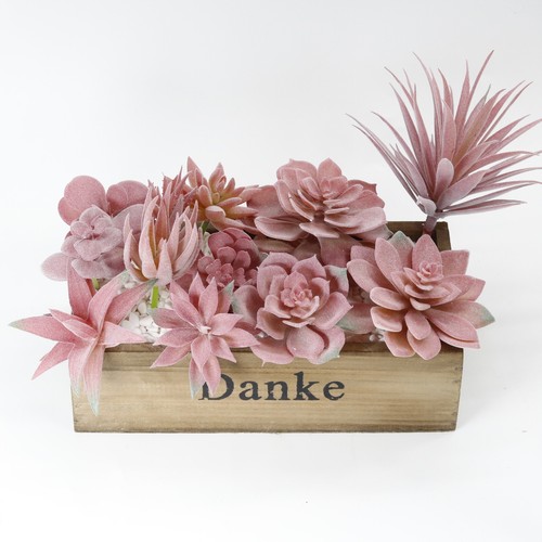 Pianta succulente artificiali - pianta,