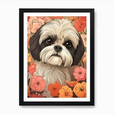 Quadro Shih Tzu Art Print