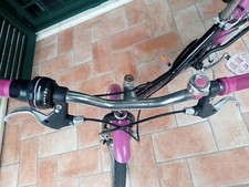 bicicletta bambina 20 pollici