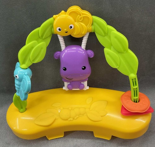 Fisher price roarin - fisher, roarin'