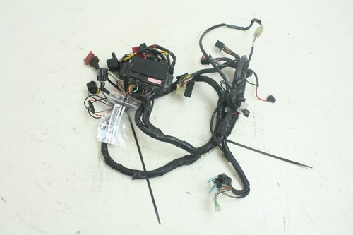 Electric bundle cablaggio - electric,