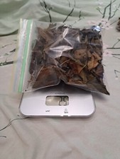 Qurt foglie di gelso essiccate