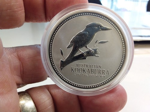 Kookaburra oncia argento - kookaburra,