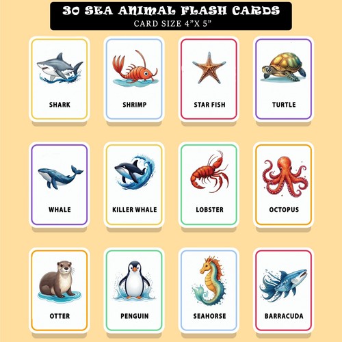 Flash card animali - , marini