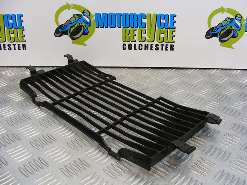 Griglia protezione radiatore