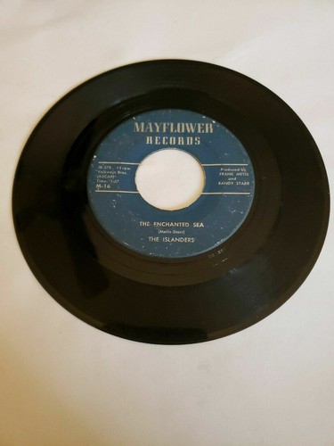 Islanders pollyanna - pollyanna,