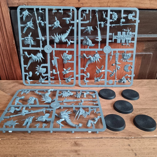 Seraphon saurus guard 5 - saurus,