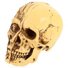  Modello di teschio umano Anatomia Modello di teschio Display medico Modello di