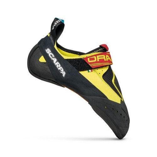 Scarpa drago scarpe - scarpe, da