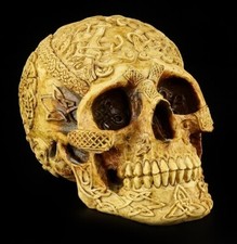 Teschio Con Celtici Simboli -