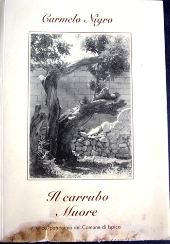 Carmelo nigro carrubo - carmelo, il