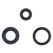 Serie Paraoli per Motore