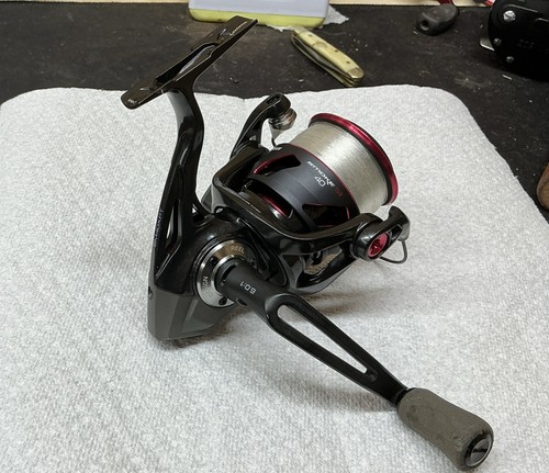 Mulinello spinning quantum - mulinello,