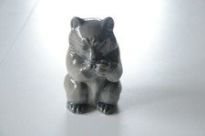 Bella Porcellana Divertente