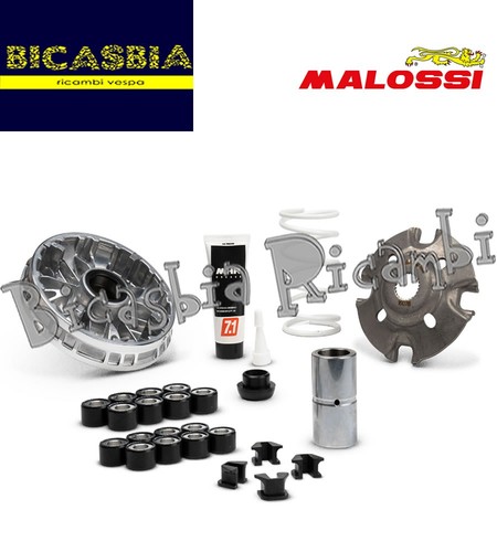 22142 variatore malossi - 22142,