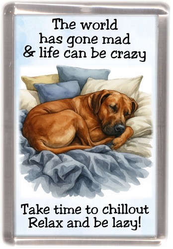 Calamita frigo per - , cani