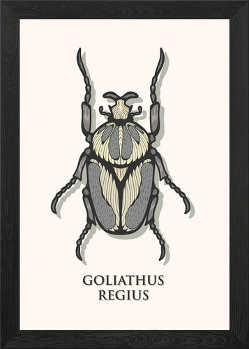 Quadro stampa tela poster - quadro,