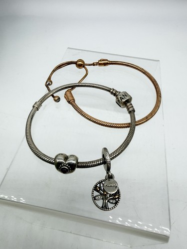Pandora moments snake chain - moments,