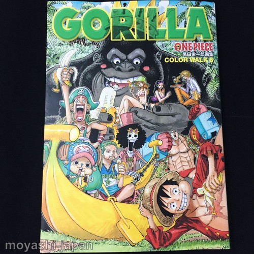 One piece illustration art - piece,