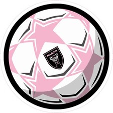 (NOT A SEW ON PATCH) Inter