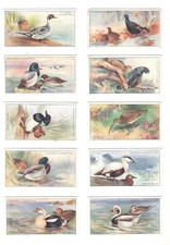 1927 Gioco Uccelli e Wild Fowl