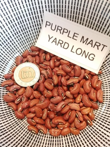 Purple mart fagiolo - mart,