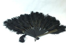 Grande Ventaglio Ventaglio Di