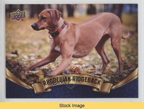 2018 upper deck canine - 2018,