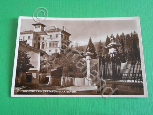 Cartolina pollone - pollone, (