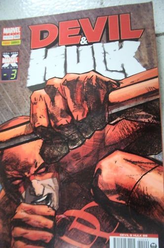 Devil hulk 99 ed - n., panini