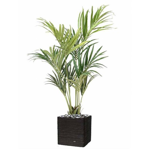 Palmier kentia artificiel - kentia, en