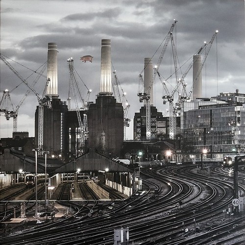 Pink floyd animals 2018 - pink, –