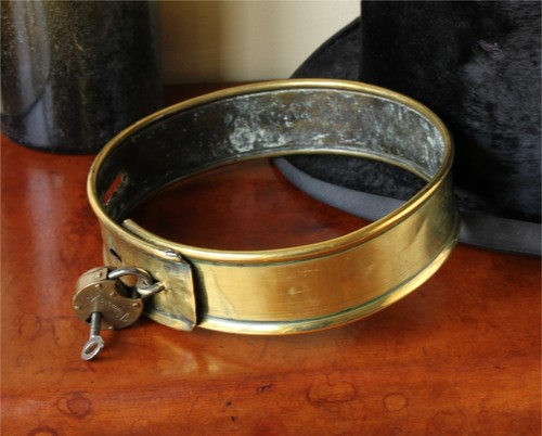 Collare lucchetto per cani - collare, e