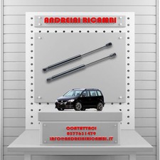 2 MOLLE A GAS BAGAGLIAIO