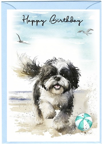 Biglietto compleanno cane shih - biglietto,
