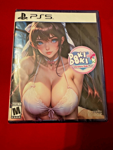 Doki literature club plus - doki,