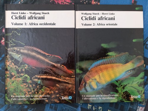 Ciclidi africani occidentali - africani,