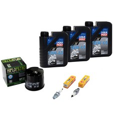 Kit Olio Ispezione 3L per
