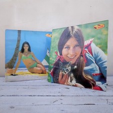 Espositori (2) poster pubblicitari Kodak originali vintage