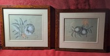 Disegni antichi due - disegni, antichi.due
