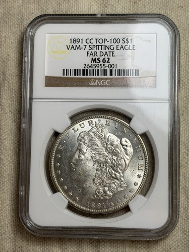 1891 morgan dollar spitting - morgan,