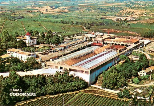 Codorniu cavas vista - cavas,
