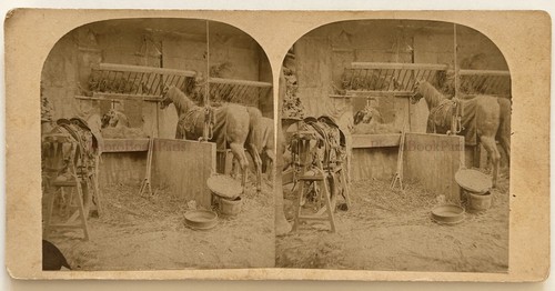 Scuderia taglio cavalli - scuderia, c1860