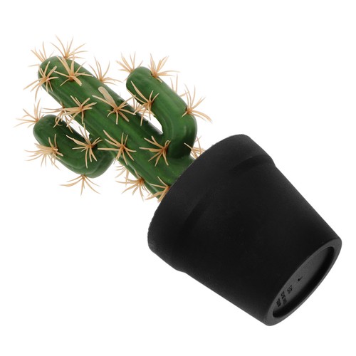 Succulenta artificiale - succulenta,
