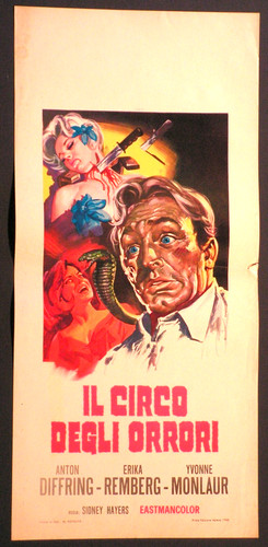 Locandina circo degli - locandina,