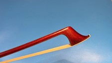 Buon antico! Violino, violino