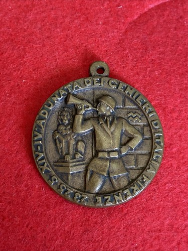 Medaglia adunata genio - iv,