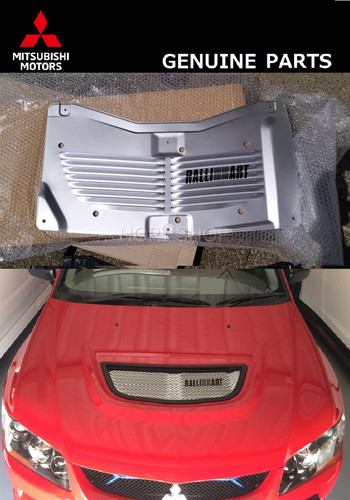 Pannello aletta cofano motore