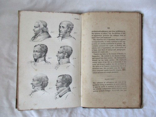 Phrenology study of - -,